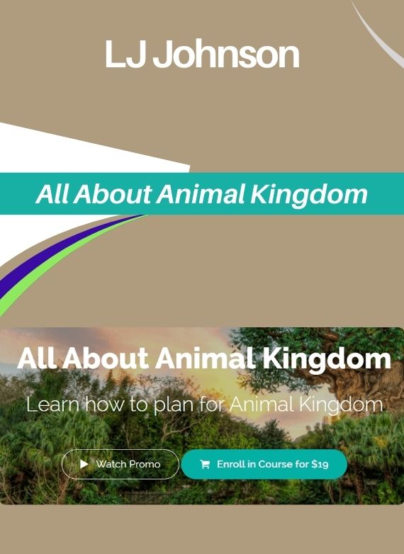 LJ Johnson – All About Animal Kingdom